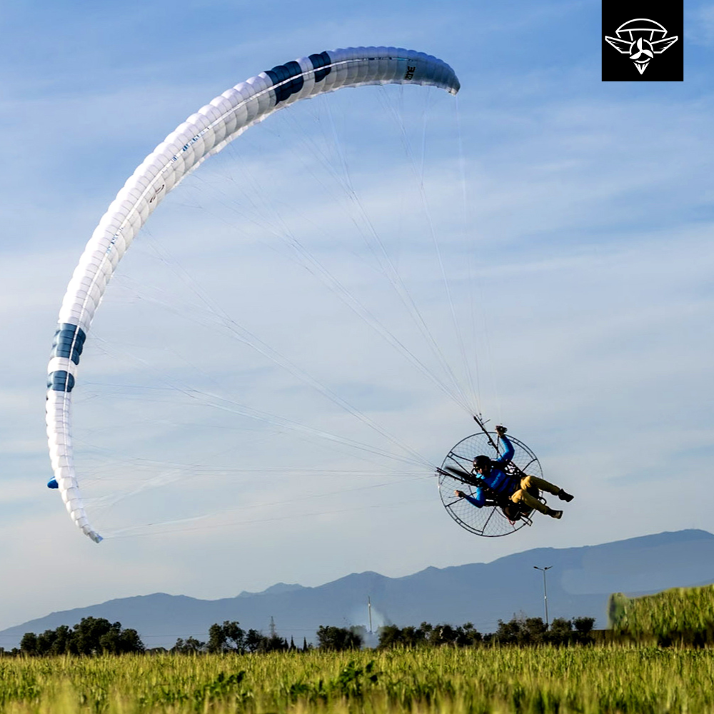 Ozone Viper 6