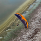 5-Day Salton Sea Adventure Paramotor Training