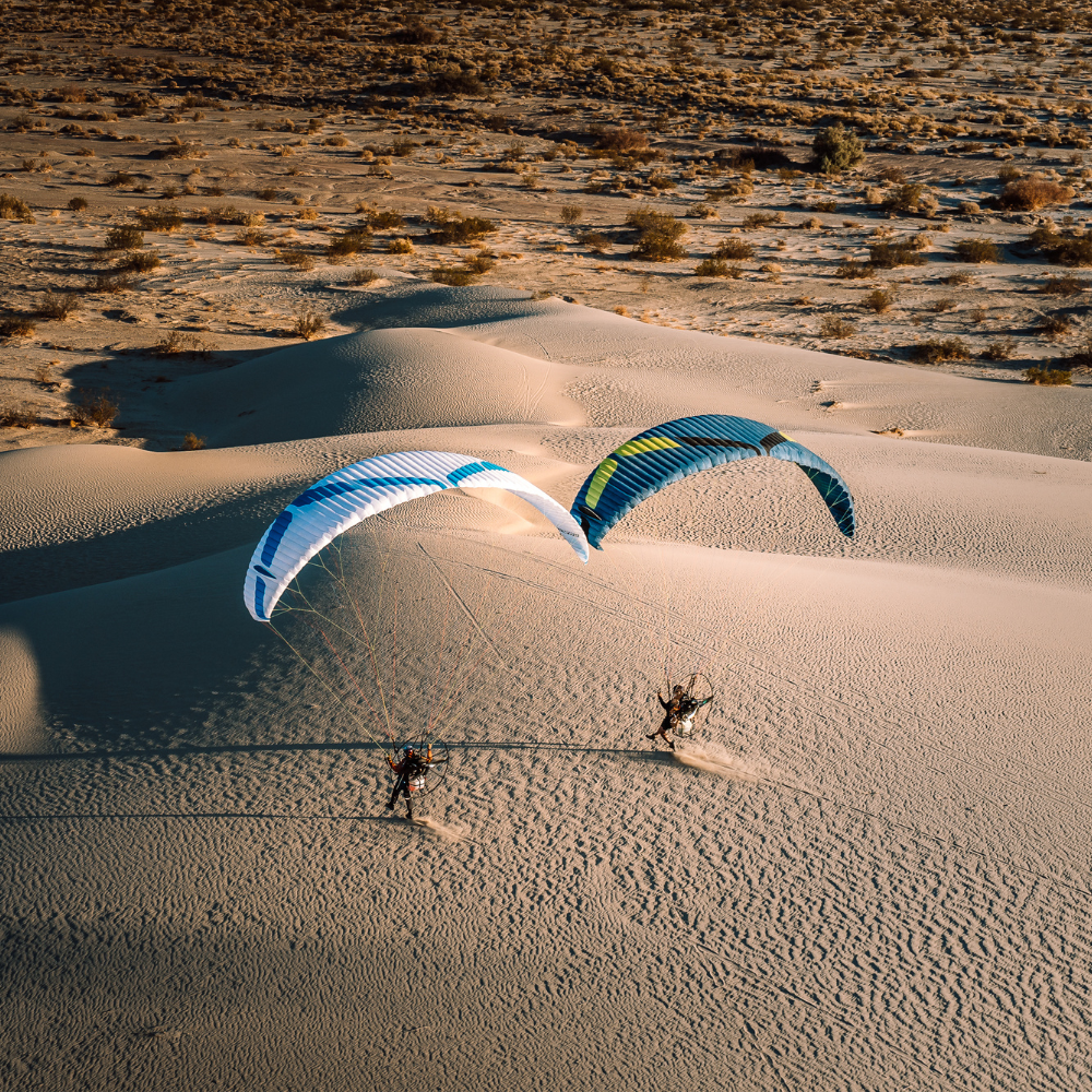 Ozone Viper XC